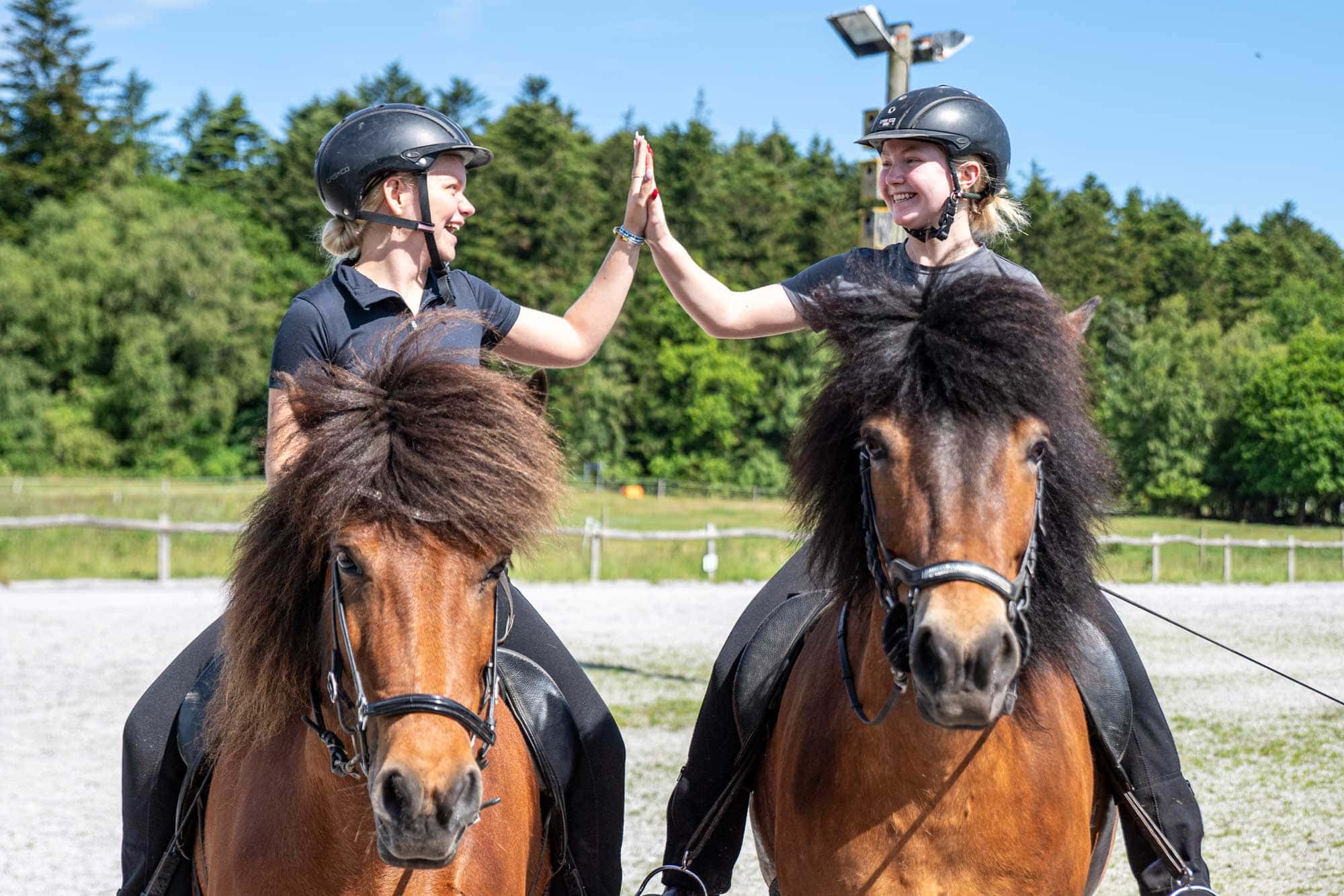 To elever på Husby Efterskole rider på islænderheste og giver hinanden highfive