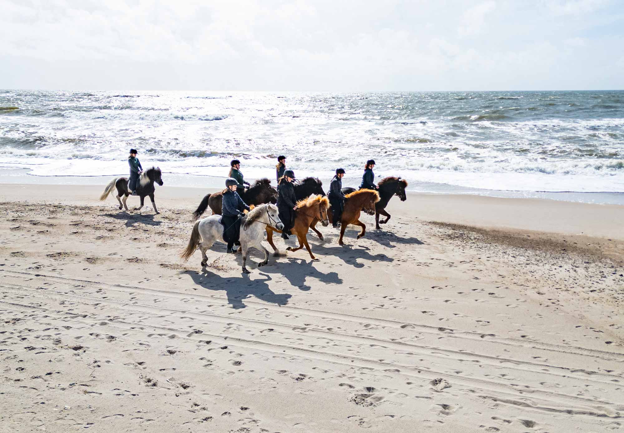 Elever fra Husby Efterskole rider på islænderheste langs stranden ved Vesterhavet